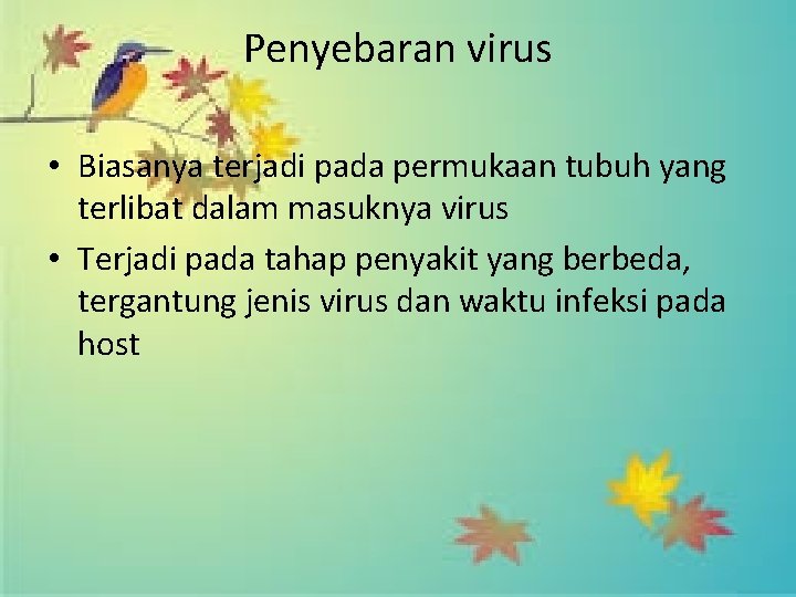 Penyebaran virus • Biasanya terjadi pada permukaan tubuh yang terlibat dalam masuknya virus •