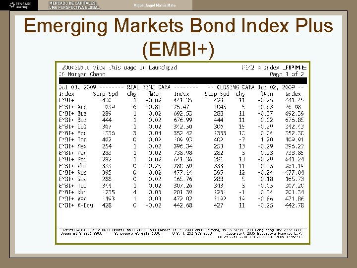Emerging Markets Bond Index Plus (EMBI+) 