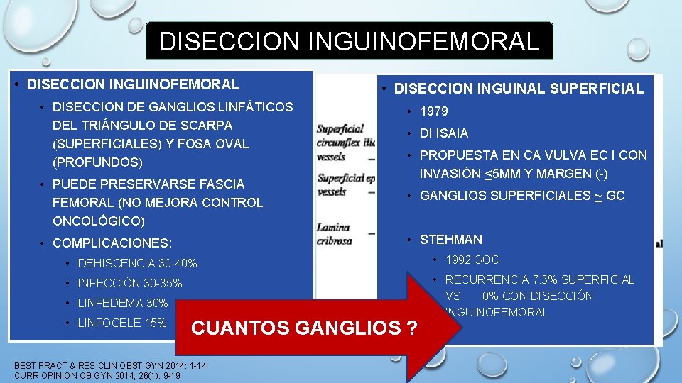 DISECCION INGUINOFEMORAL • DISECCION DE GANGLIOS LINFÁTICOS DEL TRIÁNGULO DE SCARPA (SUPERFICIALES) Y FOSA