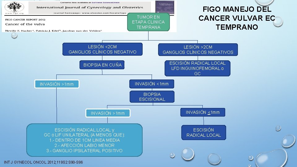 TUMOR EN ETAPA CLINICA TEMPRANA FIGO MANEJO DEL CANCER VULVAR EC TEMPRANO LESIÓN <2