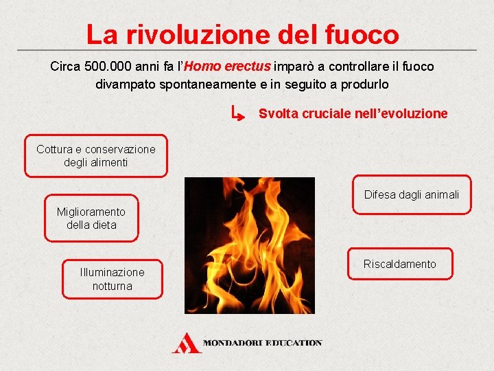 La rivoluzione del fuoco Circa 500. 000 anni fa l’Homo erectus imparò a controllare