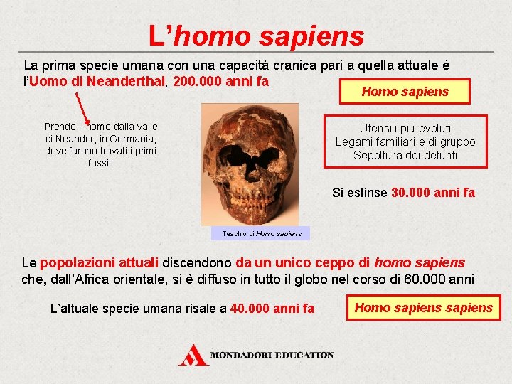L’homo sapiens La prima specie umana con una capacità cranica pari a quella attuale