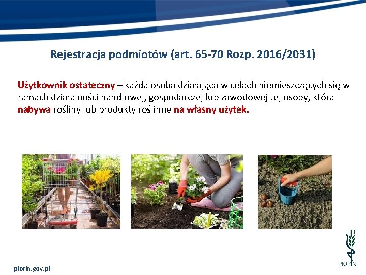 Rejestracja podmiotów (art. 65 -70 Rozp. 2016/2031) Użytkownik ostateczny – każda osoba działająca w