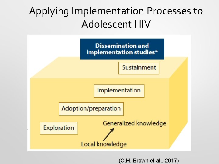 Applying Implementation Processes to Adolescent HIV (C. H. Brown et al. , 2017) 