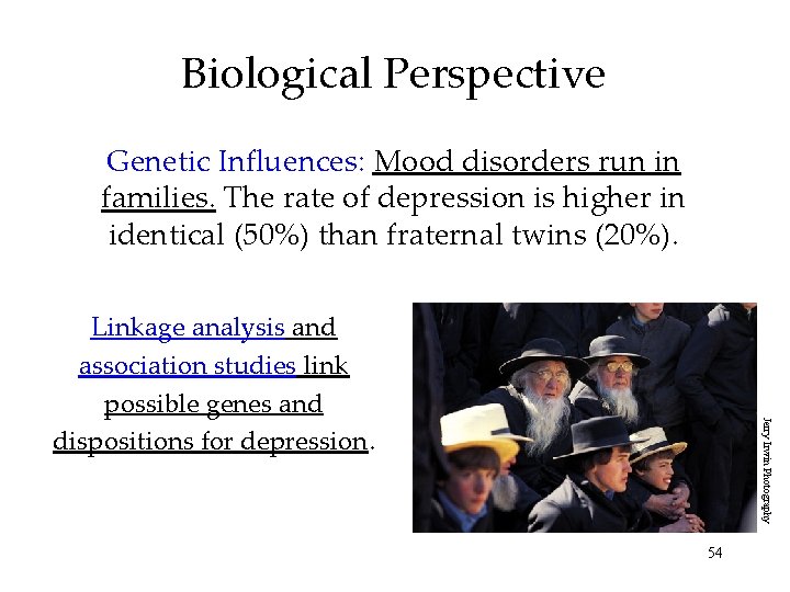 Biological Perspective Genetic Influences: Mood disorders run in families. The rate of depression is