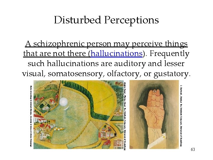 Disturbed Perceptions A schizophrenic person may perceive things that are not there (hallucinations). Frequently