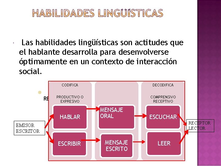  Las habilidades lingüísticas son actitudes que el hablante desarrolla para desenvolverse óptimamente en