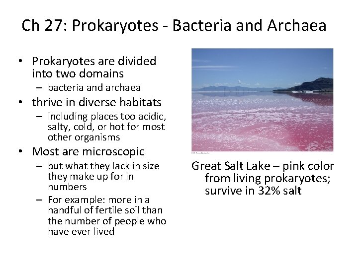 Ch 27: Prokaryotes - Bacteria and Archaea • Prokaryotes are divided into two domains