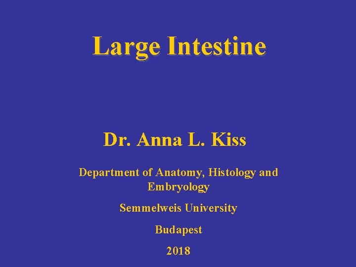 Large Intestine Dr. Anna L. Kiss Department of Anatomy, Histology and Embryology Semmelweis University