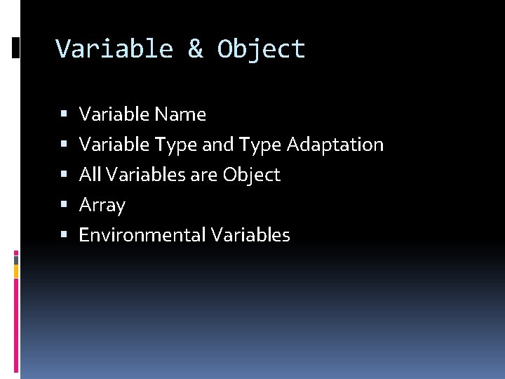 Variable & Object Variable Name Variable Type and Type Adaptation All Variables are Object