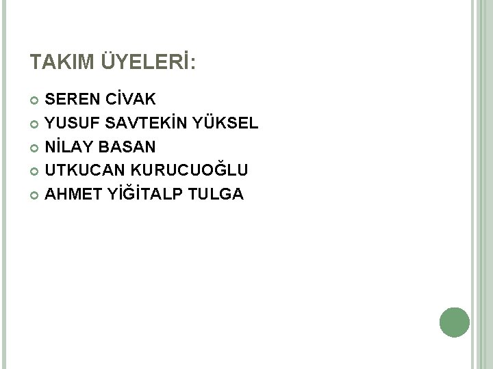 TAKIM ÜYELERİ: SEREN CİVAK YUSUF SAVTEKİN YÜKSEL NİLAY BASAN UTKUCAN KURUCUOĞLU AHMET YİĞİTALP TULGA