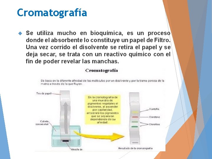 Cromatografía Se utiliza mucho en bioquímica, es un proceso donde el absorbente lo constituye