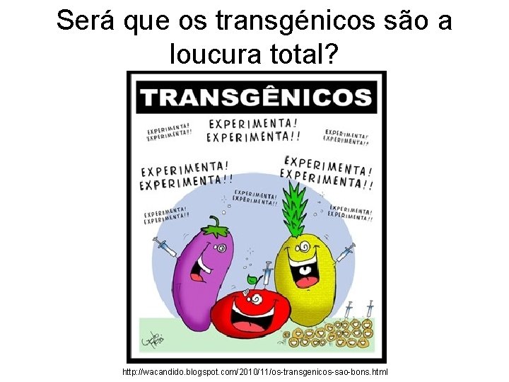 Será que os transgénicos são a loucura total? http: //wacandido. blogspot. com/2010/11/os-transgenicos-sao-bons. html 