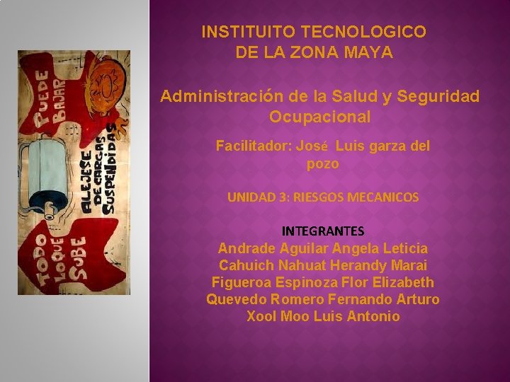 INSTITUITO TECNOLOGICO DE LA ZONA MAYA Administración de la Salud y Seguridad Ocupacional Facilitador: