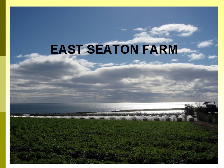 EAST SEATON FARM 