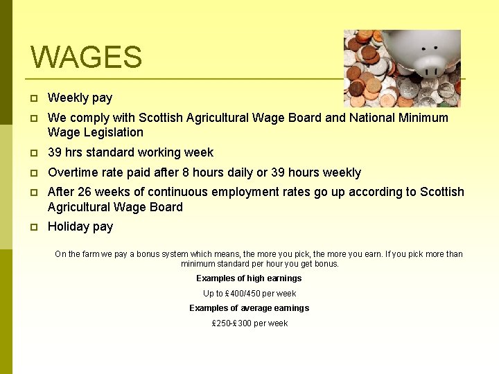 WAGES Weekly pay We comply with Scottish Agricultural Wage Board and National Minimum Wage