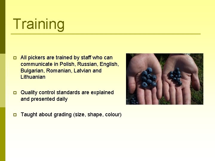 Training All pickers are trained by staff who can communicate in Polish, Russian, English,