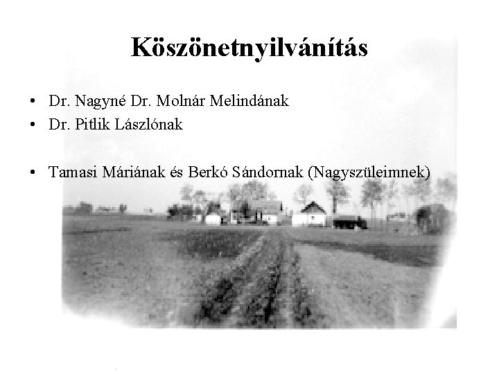 Köszönetnyilvánítás • Dr. Nagyné Dr. Molnár Melindának • Dr. Pitlik Lászlónak • Tamasi Máriának