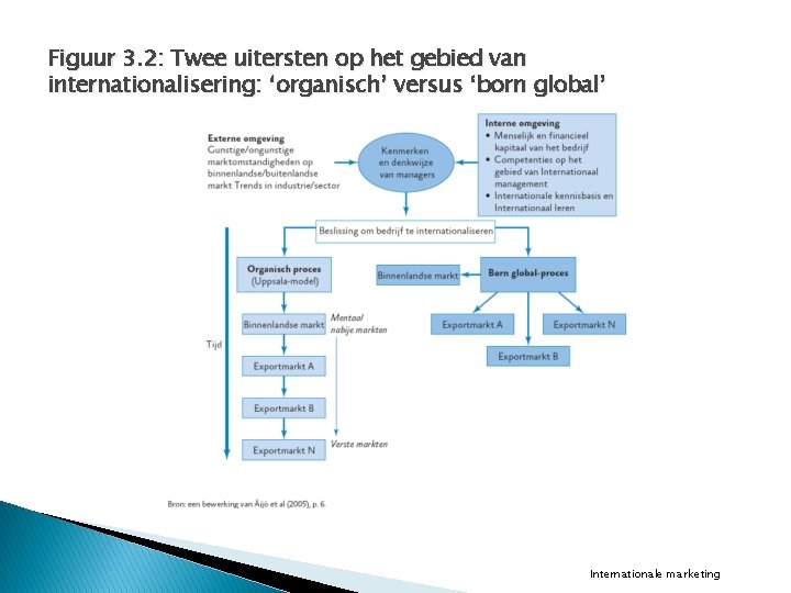 Figuur 3. 2: Twee uitersten op het gebied van internationalisering: ‘organisch’ versus ‘born global’