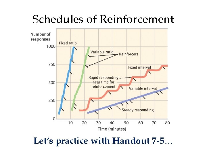 Schedules of Reinforcement Let’s practice with Handout 7 -5… 