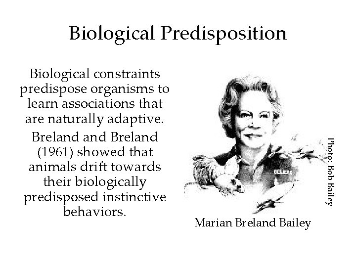 Biological Predisposition Photo: Bob Bailey Biological constraints predispose organisms to learn associations that are