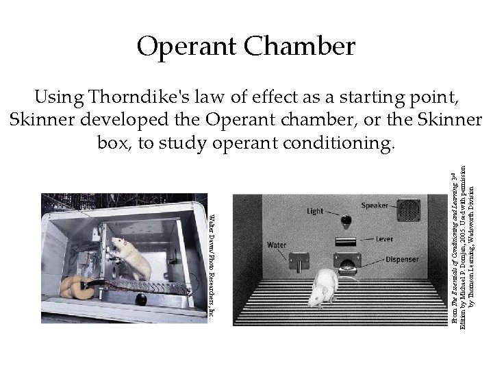 Operant Chamber Walter Dawn/ Photo Researchers, Inc. From The Essentials of Conditioning and Learning,