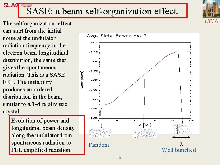 SASE: a beam self-organization effect. UCLA The self organization effect can start from the