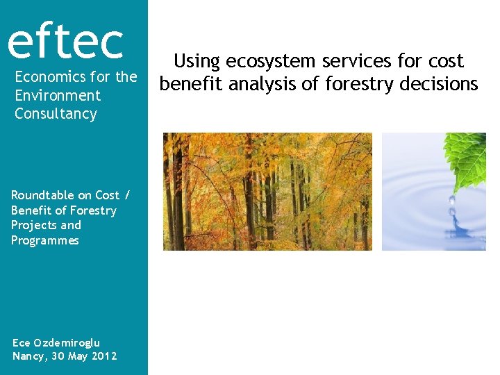 eftec Economics for the Environment Consultancy Roundtable on Cost / Benefit of Forestry Projects