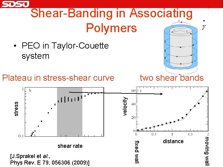 Shear-Banding in Associating Polymers • PEO in Taylor-Couette system two shear bands stress velocity