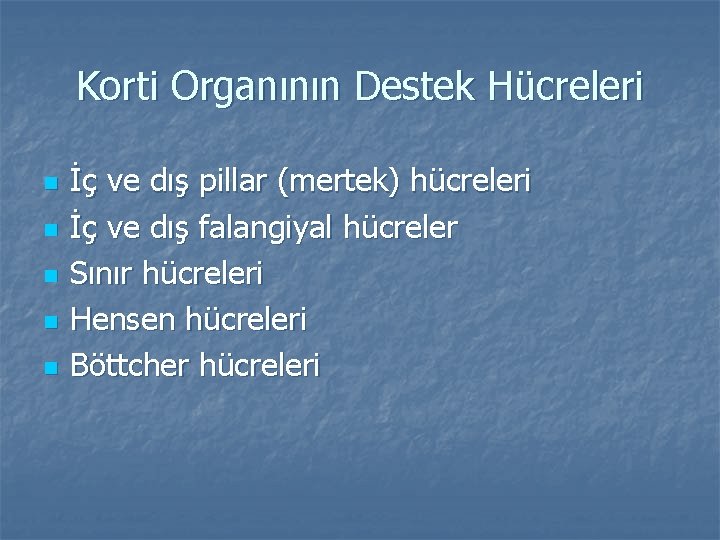 Korti Organının Destek Hücreleri n n n İç ve dış pillar (mertek) hücreleri İç