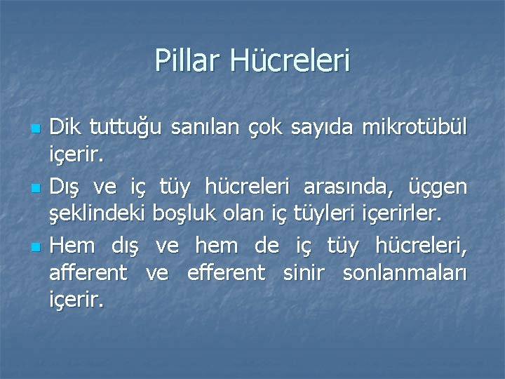 Pillar Hücreleri n n n Dik tuttuğu sanılan çok sayıda mikrotübül içerir. Dış ve