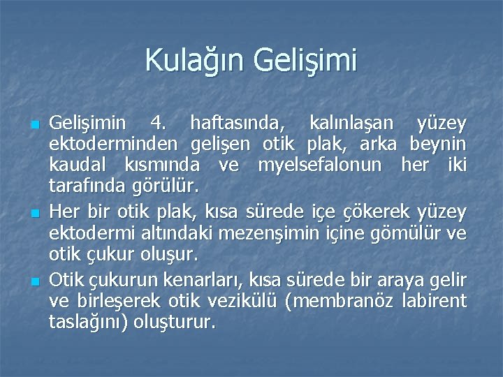 Kulağın Gelişimi n n n Gelişimin 4. haftasında, kalınlaşan yüzey ektoderminden gelişen otik plak,