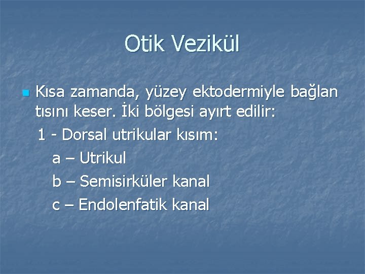 Otik Vezikül n Kısa zamanda, yüzey ektodermiyle bağlan tısını keser. İki bölgesi ayırt edilir: