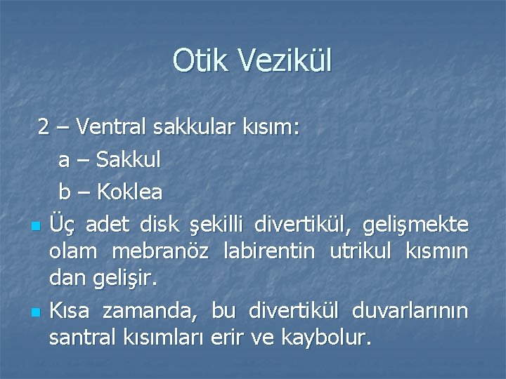 Otik Vezikül 2 – Ventral sakkular kısım: a – Sakkul b – Koklea n