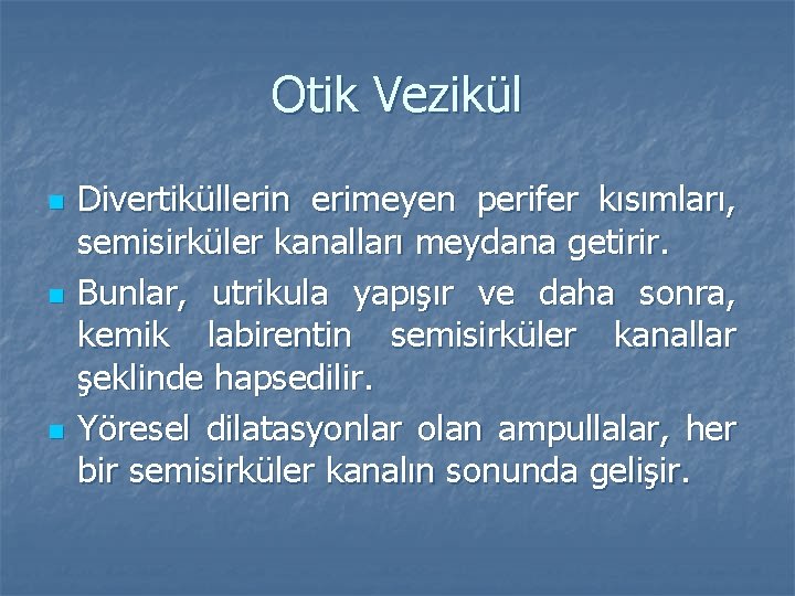 Otik Vezikül n n n Divertiküllerin erimeyen perifer kısımları, semisirküler kanalları meydana getirir. Bunlar,