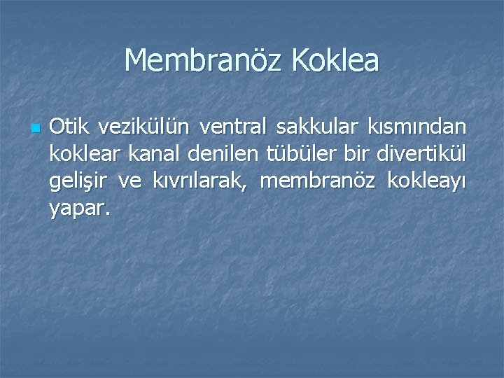 Membranöz Koklea n Otik vezikülün ventral sakkular kısmından koklear kanal denilen tübüler bir divertikül