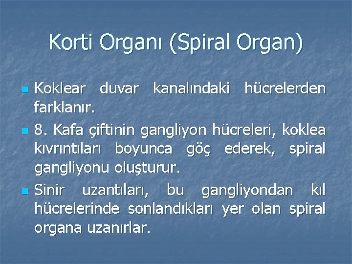 Korti Organı (Spiral Organ) n n n Koklear duvar kanalındaki hücrelerden farklanır. 8. Kafa