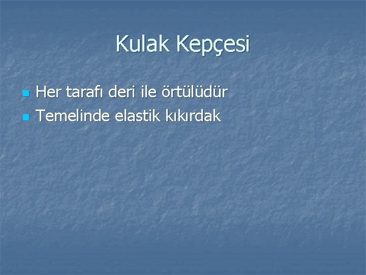 Kulak Kepçesi n n Her tarafı deri ile örtülüdür Temelinde elastik kıkırdak 