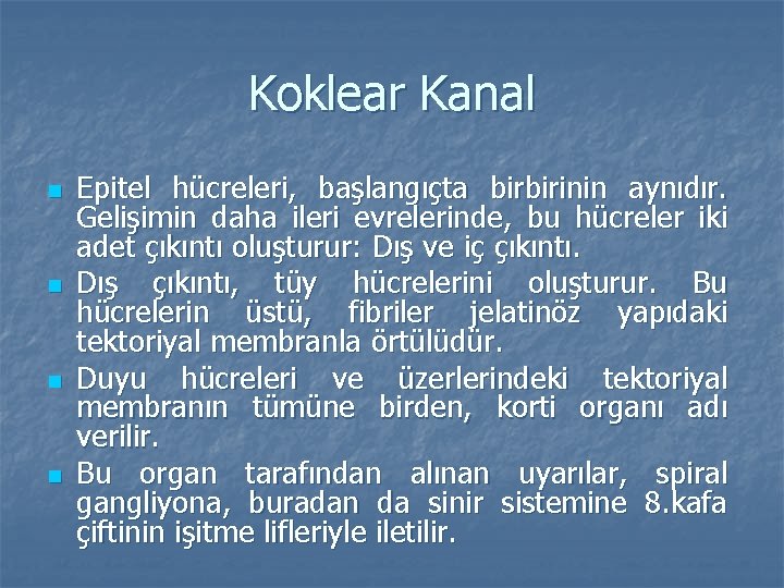 Koklear Kanal n n Epitel hücreleri, başlangıçta birbirinin aynıdır. Gelişimin daha ileri evrelerinde, bu