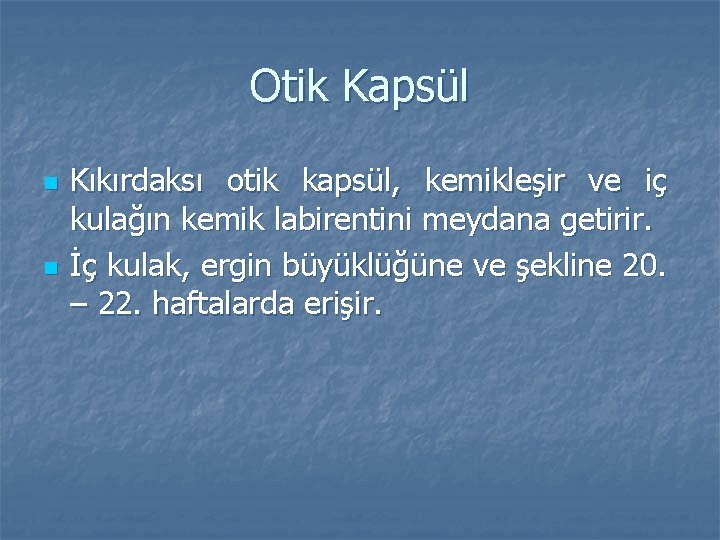 Otik Kapsül n n Kıkırdaksı otik kapsül, kemikleşir ve iç kulağın kemik labirentini meydana