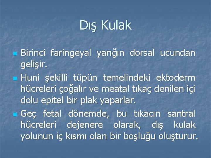 Dış Kulak n n n Birinci faringeyal yarığın dorsal ucundan gelişir. Huni şekilli tüpün