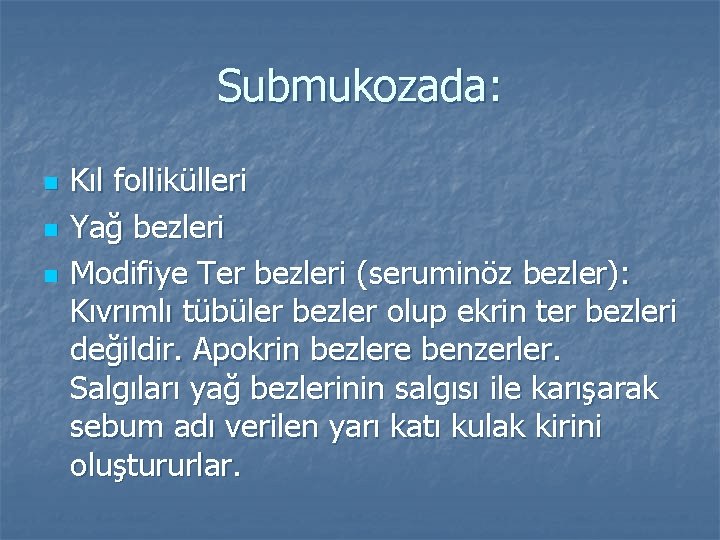 Submukozada: n n n Kıl follikülleri Yağ bezleri Modifiye Ter bezleri (seruminöz bezler): Kıvrımlı