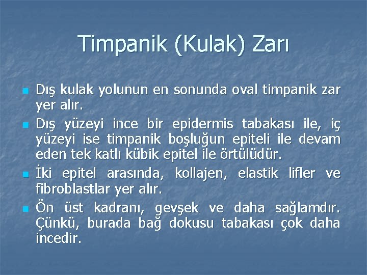 Timpanik (Kulak) Zarı n n Dış kulak yolunun en sonunda oval timpanik zar yer