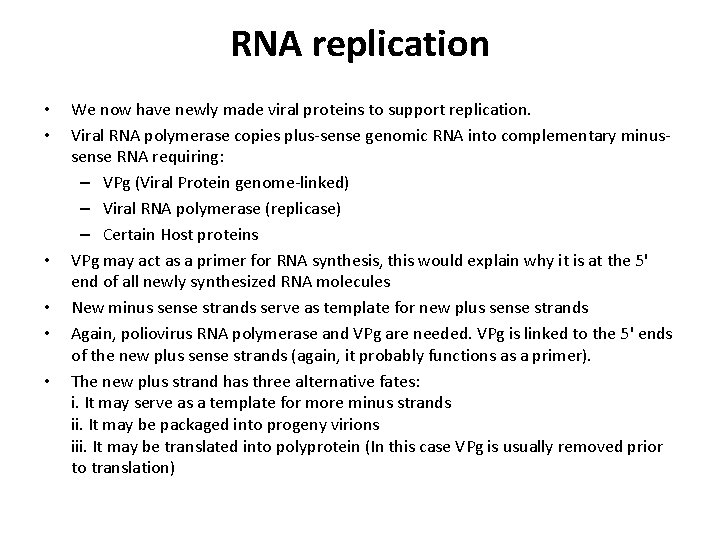 RNA replication • • • We now have newly made viral proteins to support