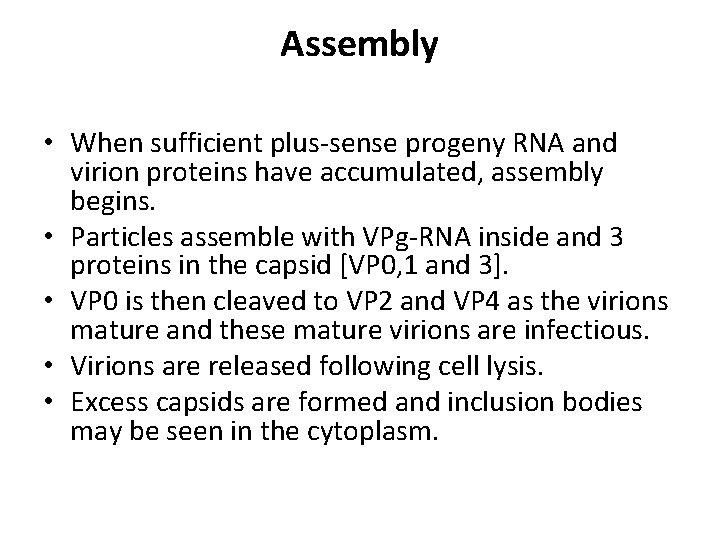Assembly • When sufficient plus-sense progeny RNA and virion proteins have accumulated, assembly begins.