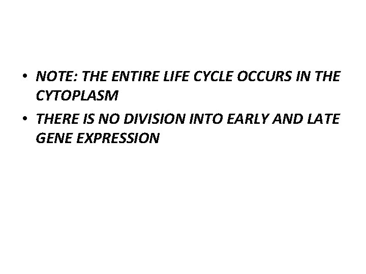  • NOTE: THE ENTIRE LIFE CYCLE OCCURS IN THE CYTOPLASM • THERE IS