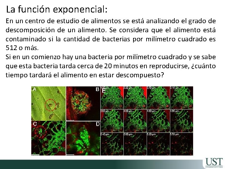 La función exponencial: En un centro de estudio de alimentos se está analizando el