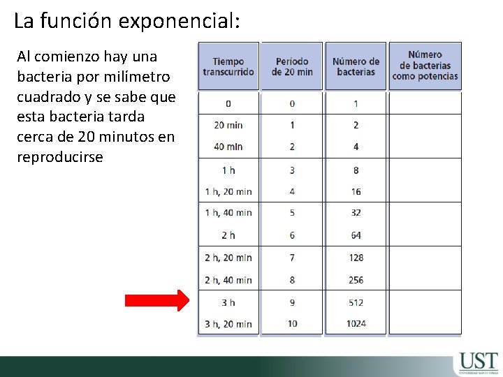 La función exponencial: Al comienzo hay una bacteria por milímetro cuadrado y se sabe