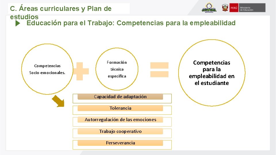 C. Áreas curriculares y Plan de estudios Educación para el Trabajo: Competencias para la