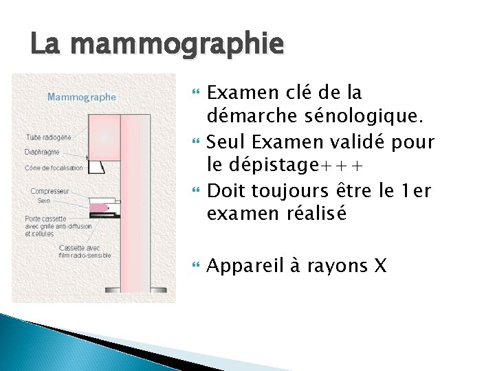 La mammographie Examen clé de la démarche sénologique. Seul Examen validé pour le dépistage+++